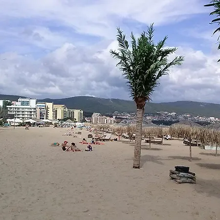 Palm Kort Sunny Beach